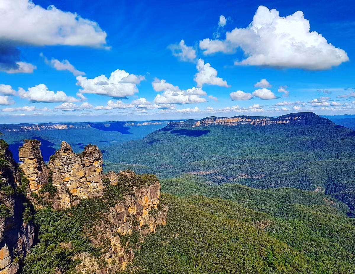 Kerala Highlights – Munnar • Cochin