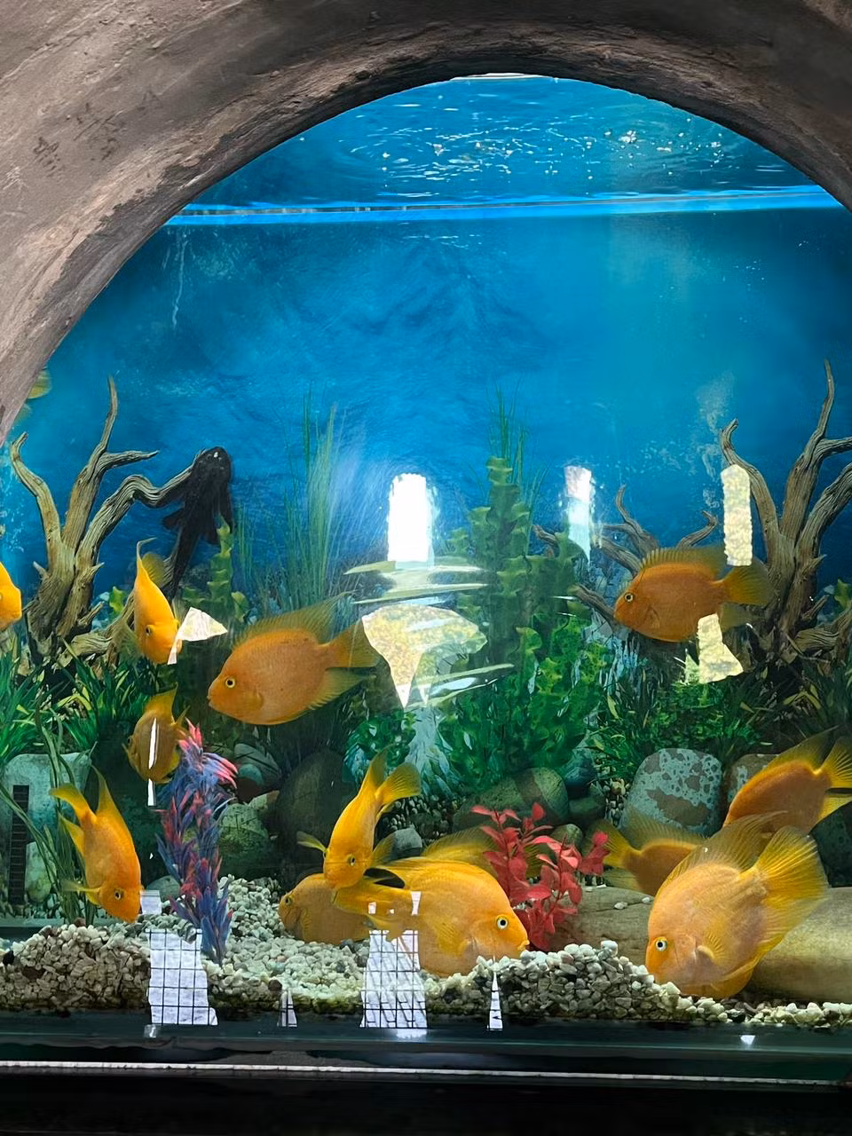 Himalayan Frontier – Ladakh Discovery – Leh • Ladakh • Manali (Edition 2) – India tour photo