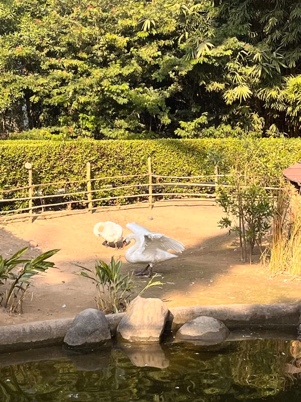 Highland Sojourn – Himachal Panorama – Manali, Keylong, Bir – India tour photo